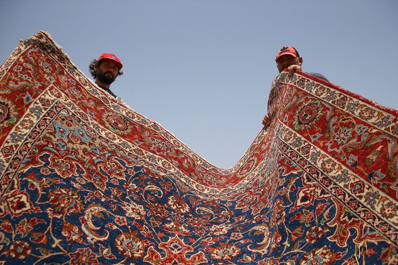 Antalya'dan ABD'ye satılıyor fiyatı 300 bin doları buluyor halı tarlası - Resim: 1