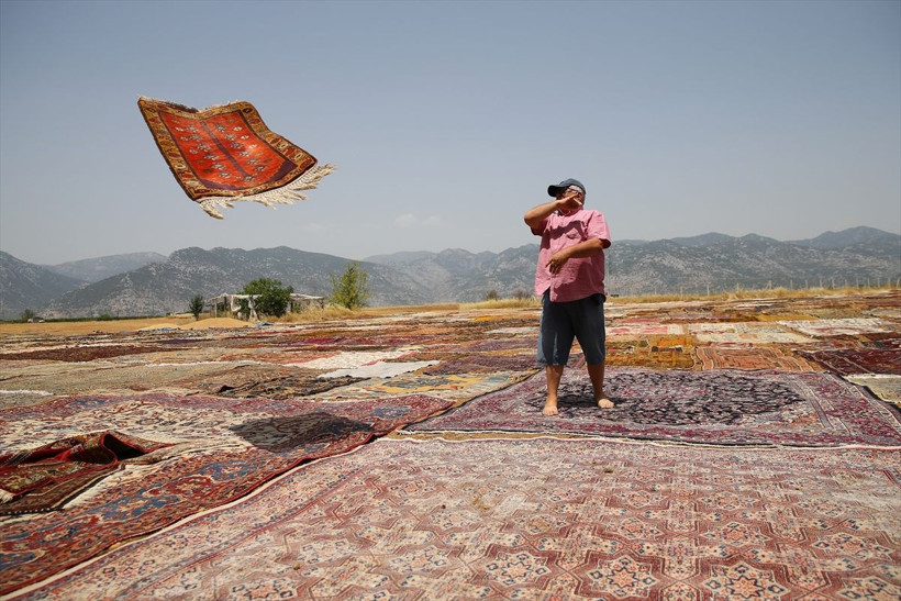 Antalya'dan ABD'ye satılıyor fiyatı 300 bin doları buluyor halı tarlası - Resim: 4