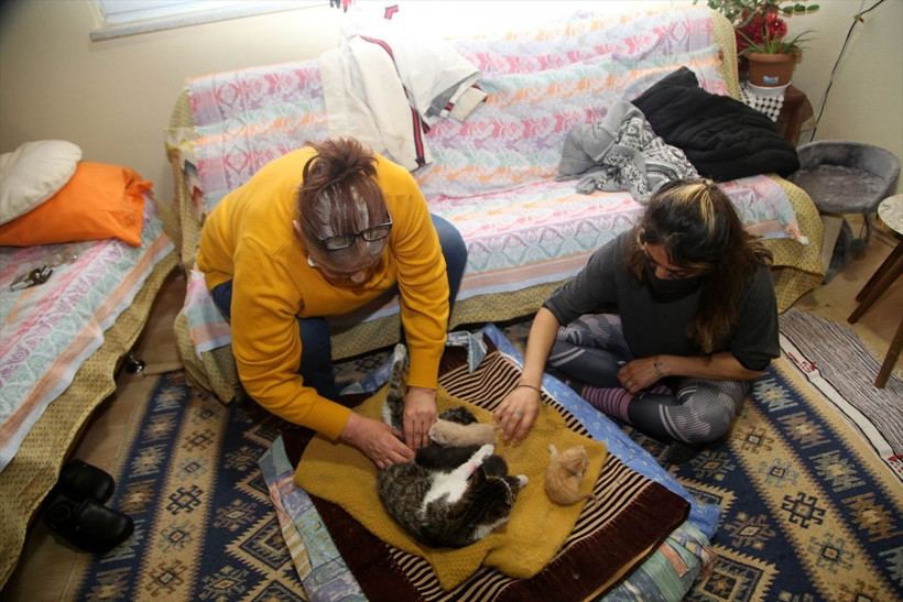 Kastamonu'da yavruları ölen kedi annelerini kaybeden yavrulara kucak açtı - Resim: 3