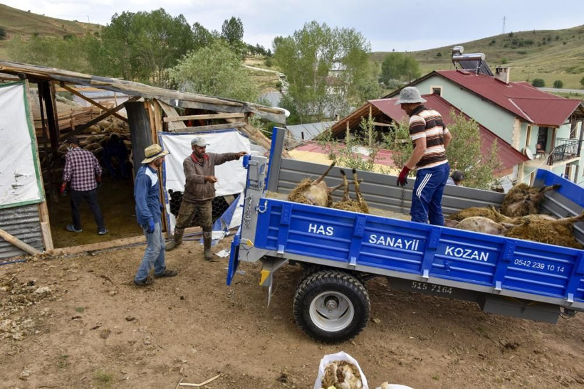 Toprağı kazıp ahıra girdiler! Gümüşhane'de manzarayı görünce şoku yaşadı - Resim: 3