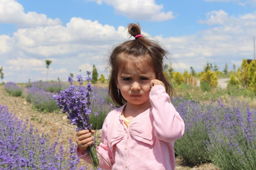 Sivas'ta ekti güzel verim aldı! Ona yetişmez dediler şimdi hasat için gün sayıyor - Resim: 4