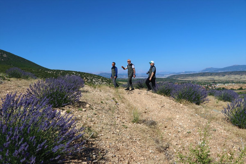 Isparta'da gören fotoğrafını çekiyor! Milyonlarca lira kazandılar: Hedef Fransa'yı geçmek - Resim: 1