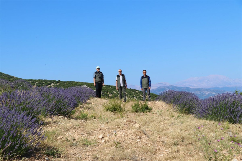 Isparta'da gören fotoğrafını çekiyor! Milyonlarca lira kazandılar: Hedef Fransa'yı geçmek - Resim: 2