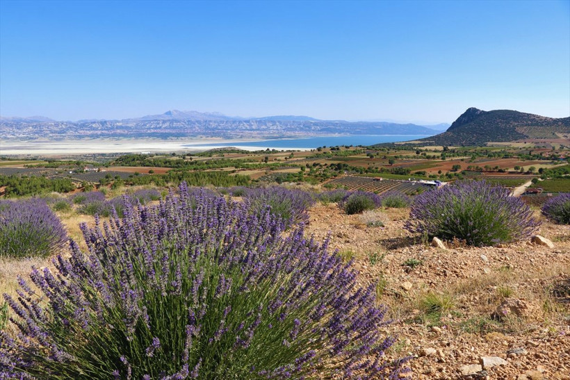 Isparta'da gören fotoğrafını çekiyor! Milyonlarca lira kazandılar: Hedef Fransa'yı geçmek - Resim: 4