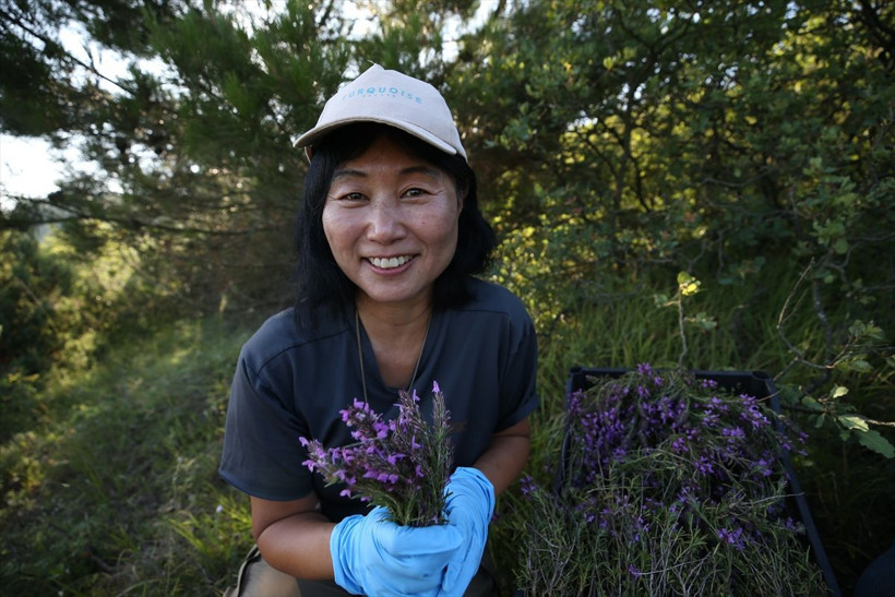 5 yılın ardından dağlarda keşfetti! Balıkesir'de gören şaştı kaldı: Almanya ABD Fransa sıraya girdi - Resim: 4