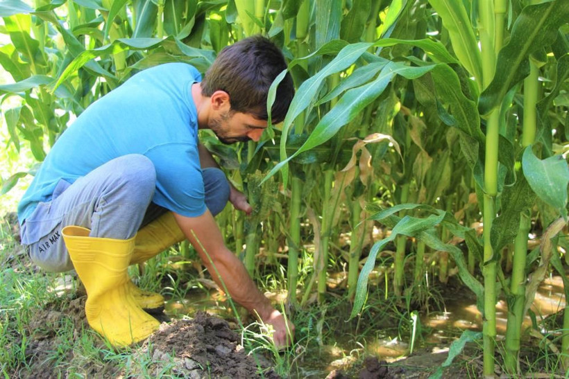 'Burada ürün alamazsın' dediler Bingöl'de 30 yıldır boş araziye ekti kazancı dudak uçuklattı - Resim: 3
