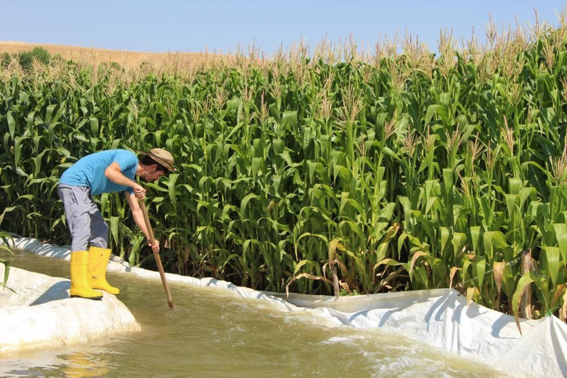 'Burada ürün alamazsın' dediler Bingöl'de 30 yıldır boş araziye ekti kazancı dudak uçuklattı - Resim: 1