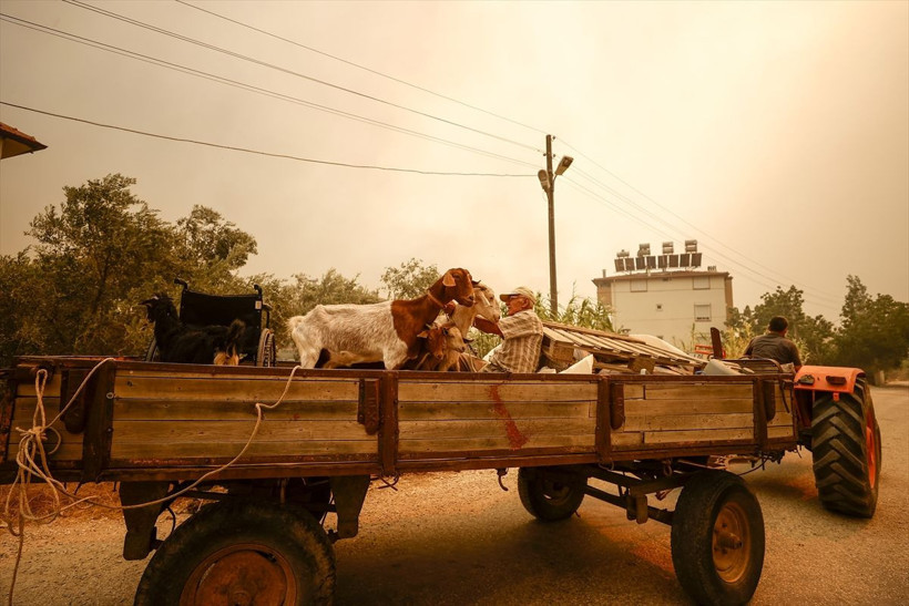 Antalya'nın Akseki ilçesinde orman yangını büyüyor! Bir kişi öldü evlerin yüzde 80'ni yandı - Resim: 4