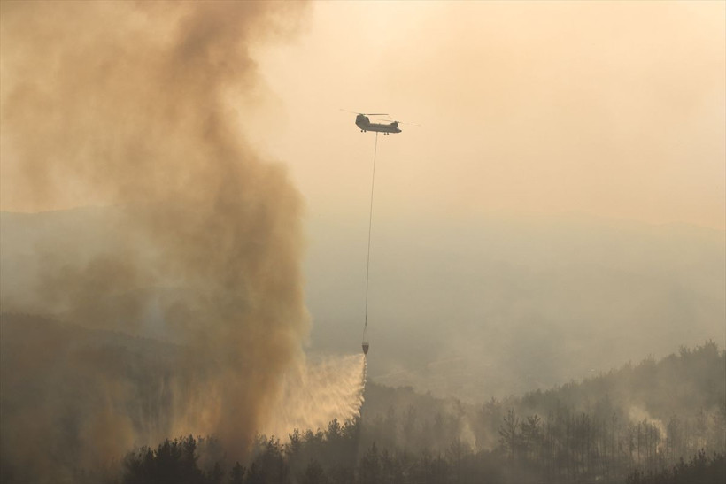 Osmaniye'deki yangında flaş gelişme! 5 kişi gözaltına alındı - Resim: 3
