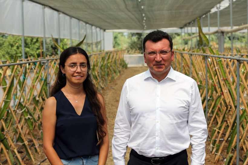 Paraya para demiyor! Kendisi bile bilmiyordu: İstanbul'dan Aydın'a köyüne döndü bu işe başladı - Resim: 1