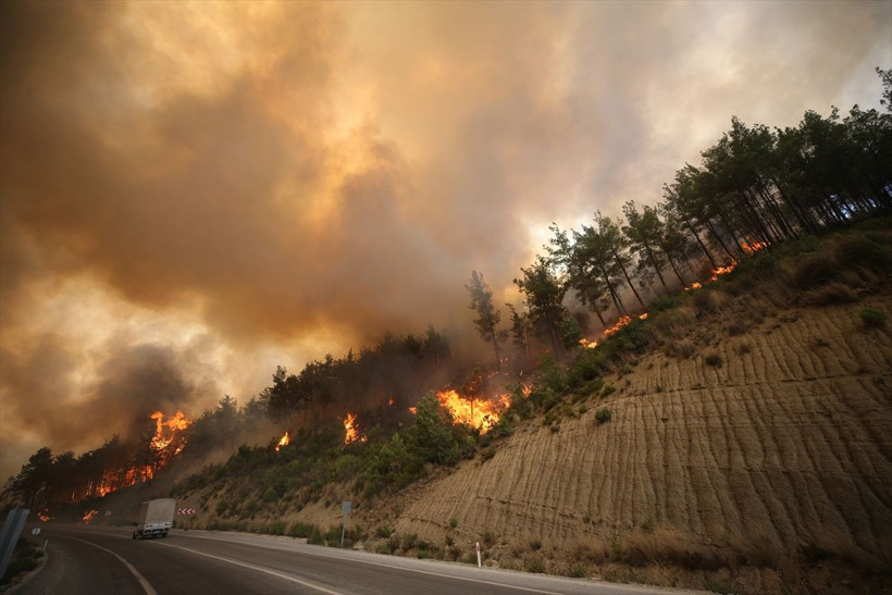 Manavgat yangınında son durum! Bu fotoğraflar yeni geldi dehşet görüntüler - Resim: 4