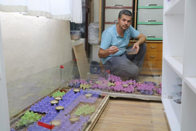 300 akreple başladı gramı 71 bin TL! Malatya'daki tesiste hedef yurt dışı - Resim: 4