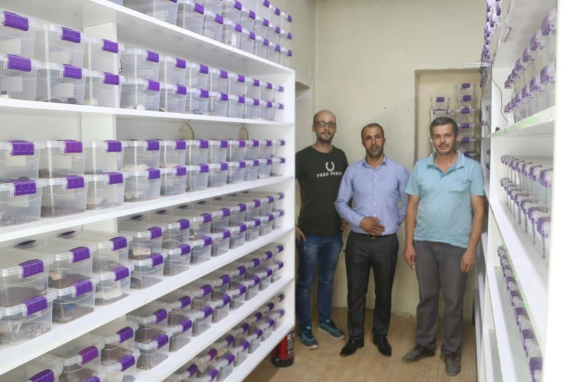 300 akreple başladı gramı 71 bin TL! Malatya'daki tesiste hedef yurt dışı - Resim: 2