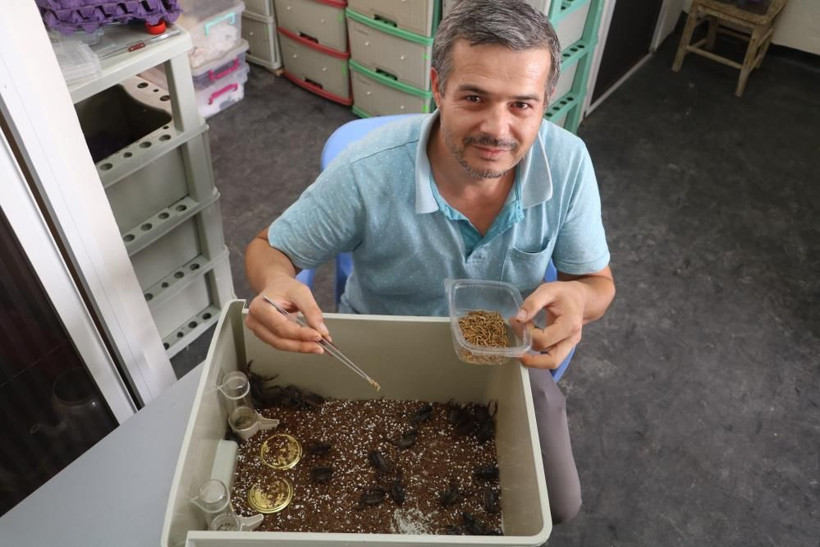 300 akreple başladı gramı 71 bin TL! Malatya'daki tesiste hedef yurt dışı - Resim: 1