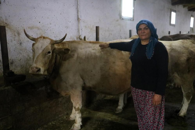 Fiyatı normalinin 3 katı! Bu sütü içen korona olmuyor Sivas'ta yok satıyor - Resim: 4