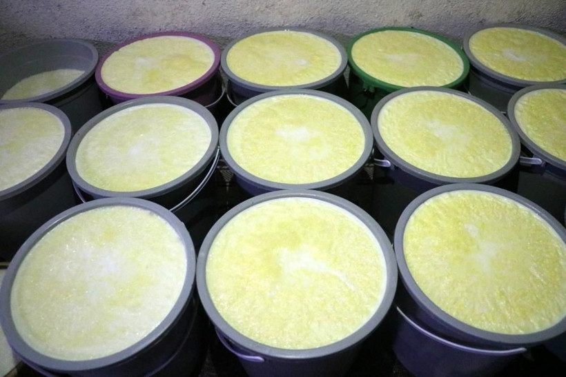 Fiyatı normalinin 3 katı! Bu sütü içen korona olmuyor Sivas'ta yok satıyor - Resim: 3