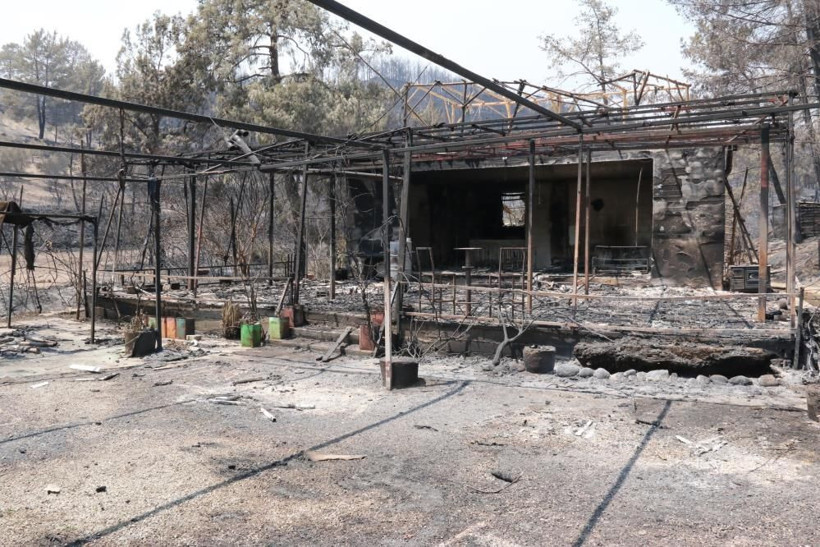 Manavgat yangınında çiftliği küle döndü! Geri gelince şok oldu: Cehennemi gördüm - Resim: 4