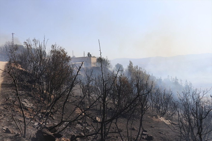 Denizli'de kontrol altına alınan yangın bölgesinde korkulan oldu! Yeniden alevler yükseldi - Resim: 3