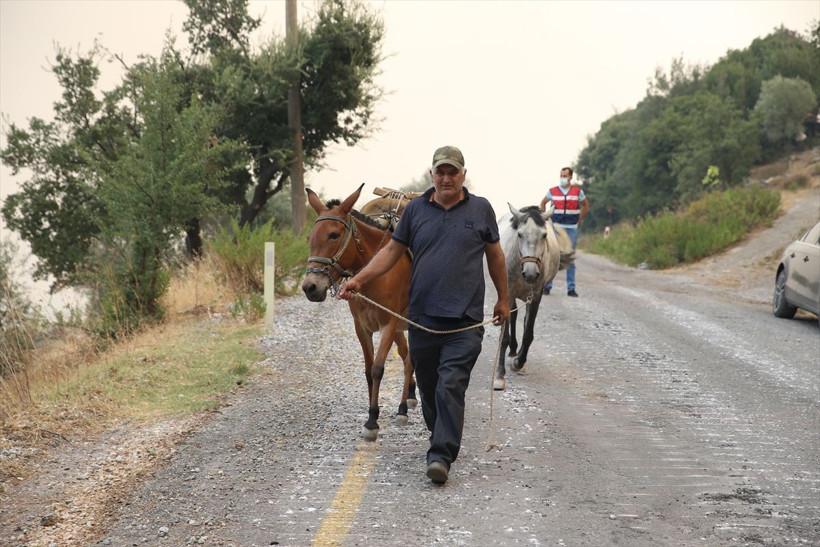 Muğla Milas'ta yangının tehdit ettiği 2 mahalledeki vatandaşlar tahliye edildi - Resim: 1