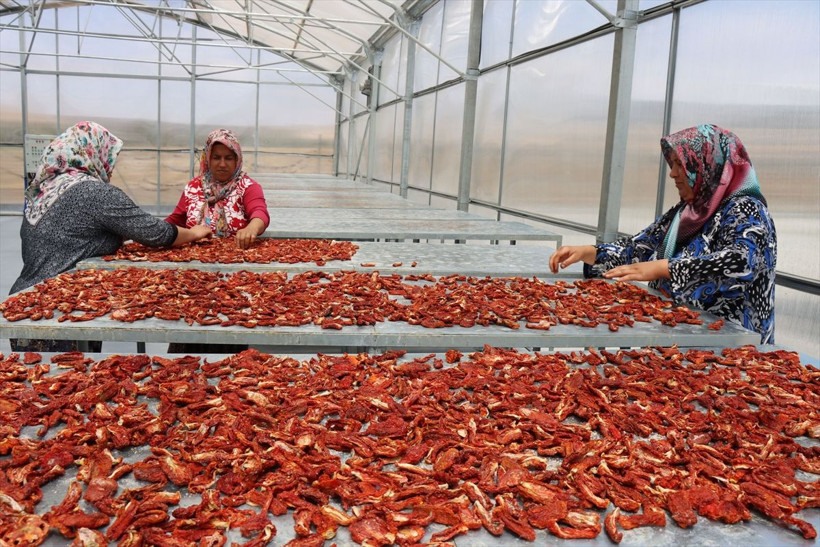 Kilis'te 30 kadın çalışıyor ekmek kapısı oldu: Eğlenceli geçiyor - Resim: 3