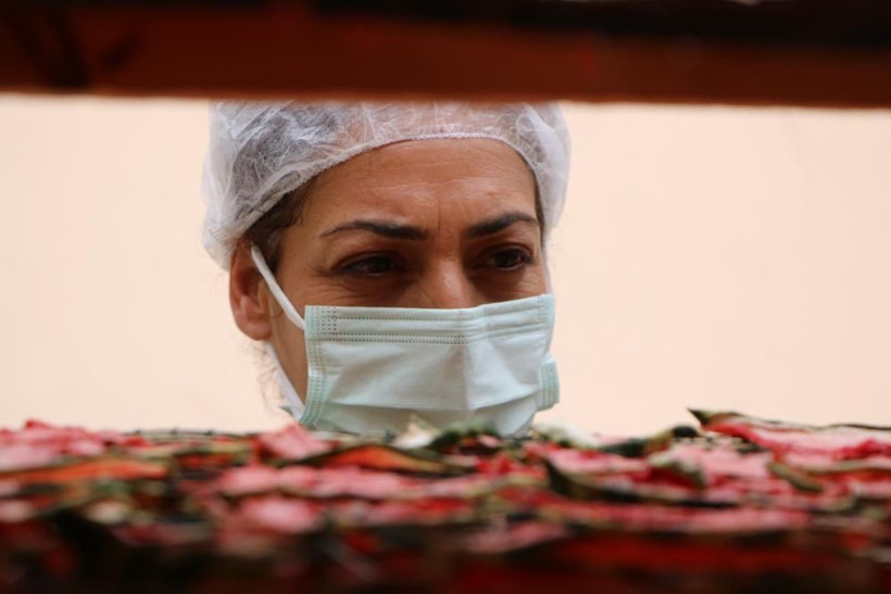 İstanbul'dan köyüne döndü hayatı değişti! Erzurum'da karpuzdan üretti 4 ton sipariş geldi - Resim: 2