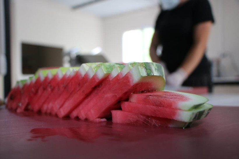 İstanbul'dan köyüne döndü hayatı değişti! Erzurum'da karpuzdan üretti 4 ton sipariş geldi - Resim: 3