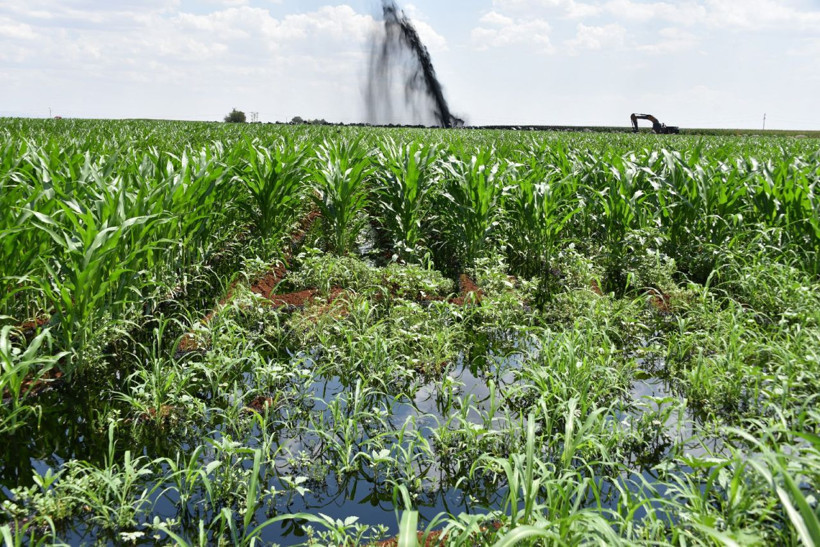Şanlıurfa'da BOTAŞ petrol boru hattı patladı - Resim: 2