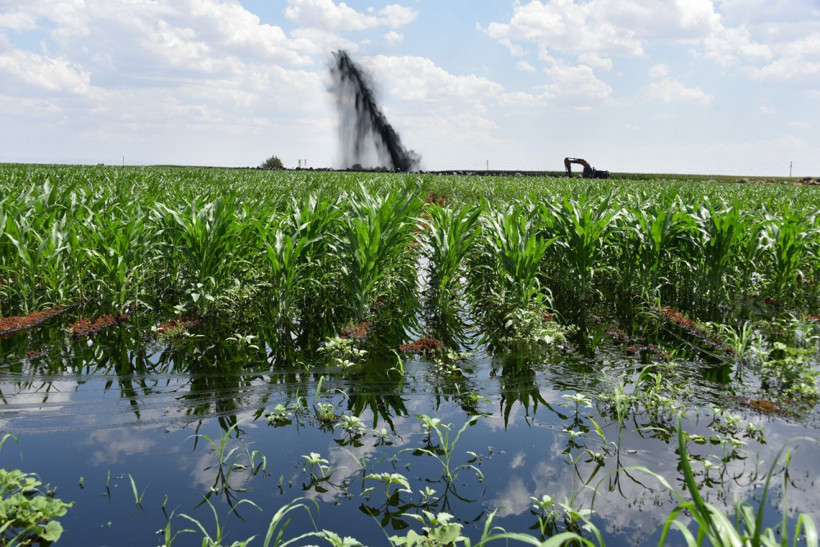 Şanlıurfa'da BOTAŞ petrol boru hattı patladı - Resim: 3