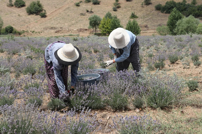 Londra'yı bırakıp Manisa'ya döndü! Hobisini işe çevirdi hayatı değişti - Resim: 2