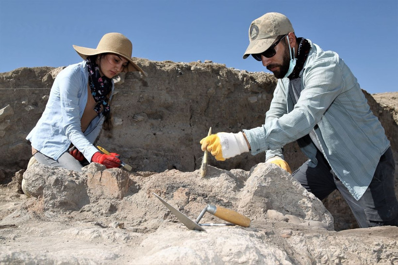 Van'daki kazılarda 2 mezar daha bulundu yeni bulgulara ulaşıldı - Resim: 4