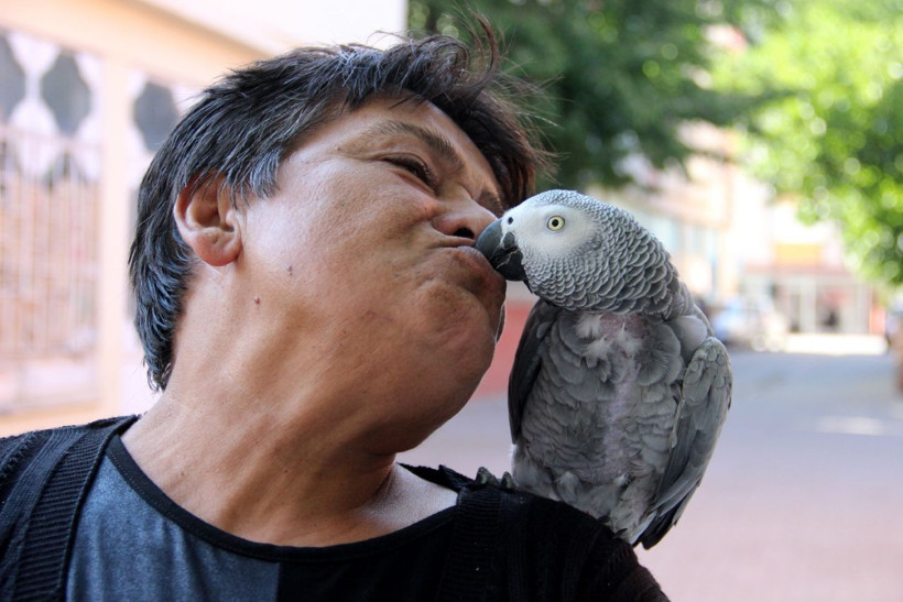 Kredi çekip aldı kaybolunca kalp krizi geçirdi! Sivas'ta gören telefona sarıldı - Resim: 2