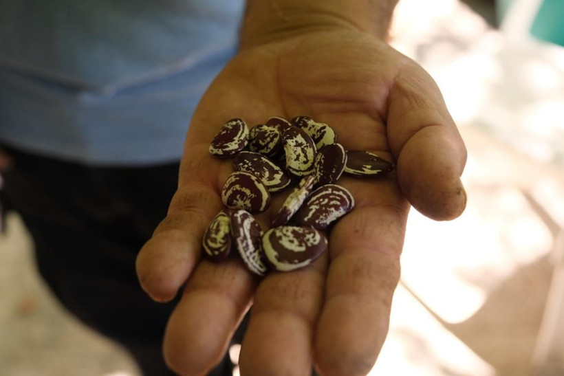 Ömrünü bu işe adadı bedavaya dağıtıyor! Duyan şehir dışından Manisa'ya geliyor - Resim: 3