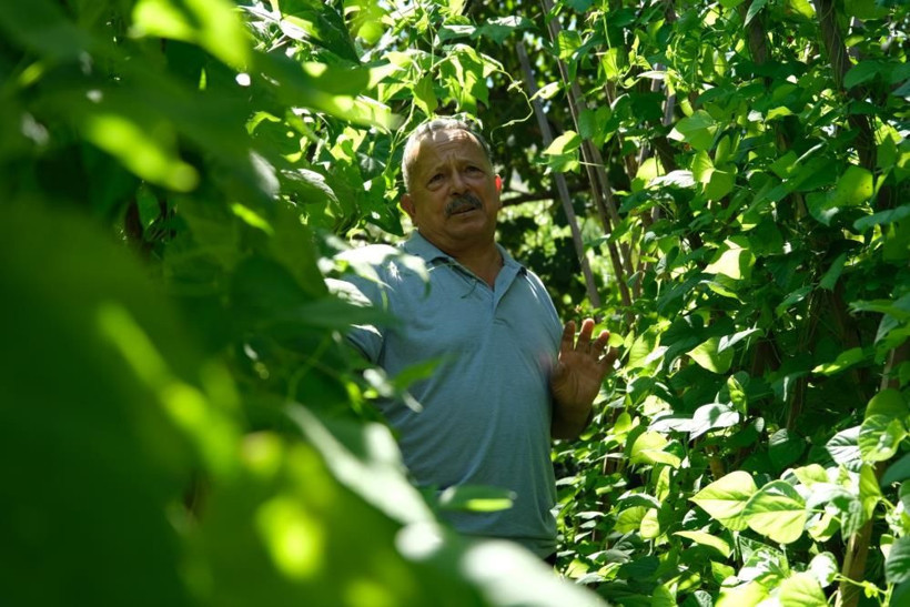 Ömrünü bu işe adadı bedavaya dağıtıyor! Duyan şehir dışından Manisa'ya geliyor - Resim: 4
