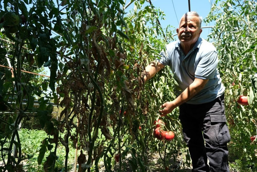 Ömrünü bu işe adadı bedavaya dağıtıyor! Duyan şehir dışından Manisa'ya geliyor - Resim: 1