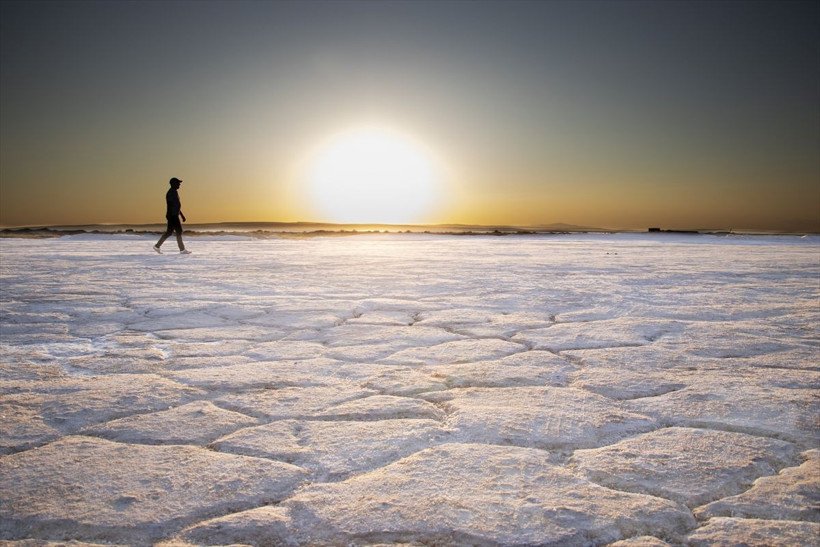Konya'da hasat edildi ilk komşuya gönderildi! 70 ülkeden sipariş yağıyor - Resim: 2
