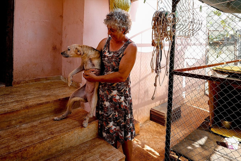 Antalya'da sokakların "engelli canları" uzanan şefkat elleriyle hayata tutunuyor - Resim: 3