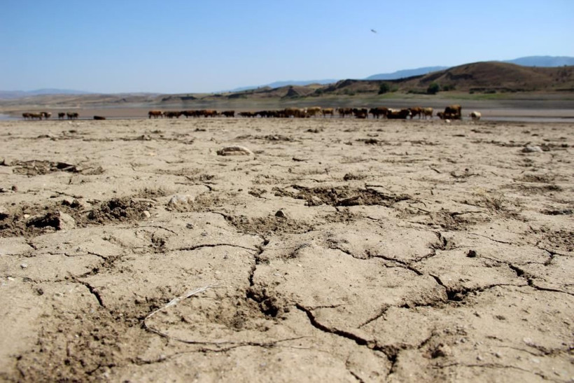 Sivas'ta kuraklık alarmı: 64 kilometrelik Kılıçkaya Barajı çöle döndü - Resim: 1