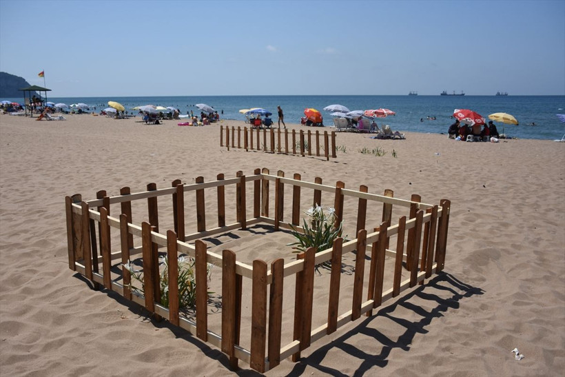 Bartın'da etrafı çitlerle çevrildi! Uyarı levhaları asıldı: Nesli tehlike altında - Resim: 1