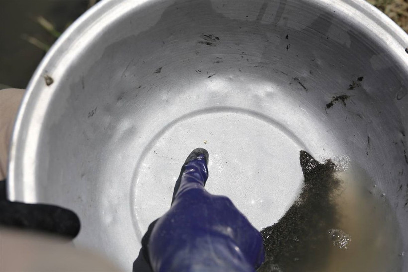 Bu dereden altın çıkıyor! Arayıp buluyor ama günlük kazancı çok az - Resim: 4