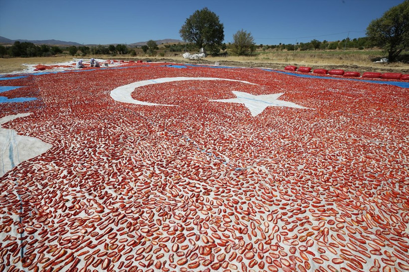 Elazığ'da kurutmalık domateslerle Türkiye haritası oluşturuldu - Resim: 2