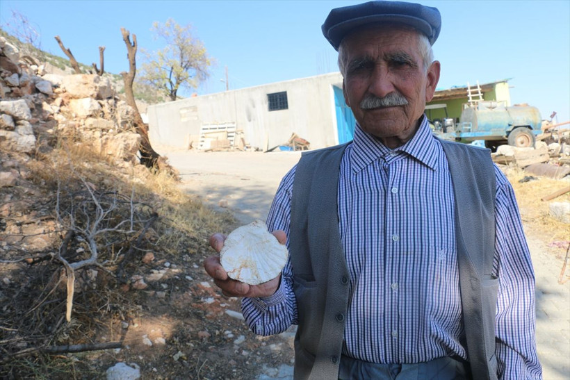 Adıyaman'da köylü ormanda gezerken tesadüfen buldu yetkililer bölgede geniş çaplı araştırma yapacak - Resim: 1