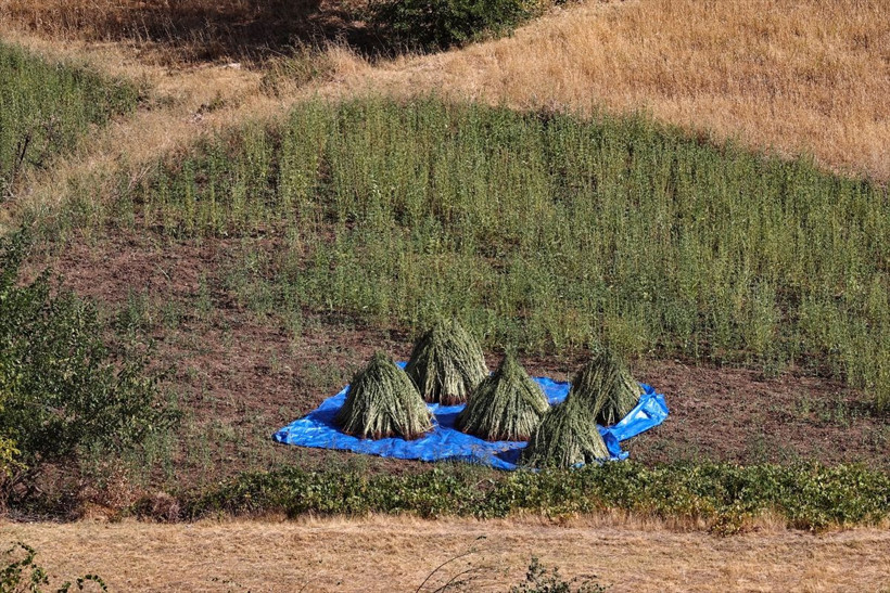 Hakkari'de sopalarla vurularak yapılıyor! Yurt dışından sipariş yağıyor - Resim: 3