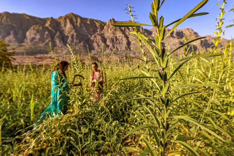 Hakkari'de sopalarla vurularak yapılıyor! Yurt dışından sipariş yağıyor - Resim: 4