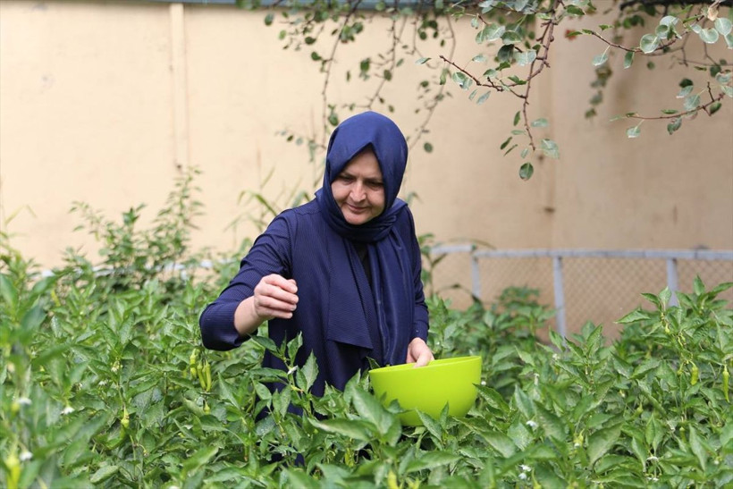 Afganlar kaçarken işsiz kalan Türk kadın bu işe başladı! Hayatı değişti: Taliban nedeniyle... - Resim: 2