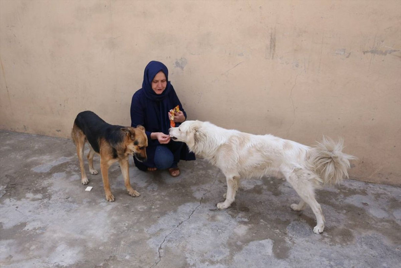 Afganlar kaçarken işsiz kalan Türk kadın bu işe başladı! Hayatı değişti: Taliban nedeniyle... - Resim: 4