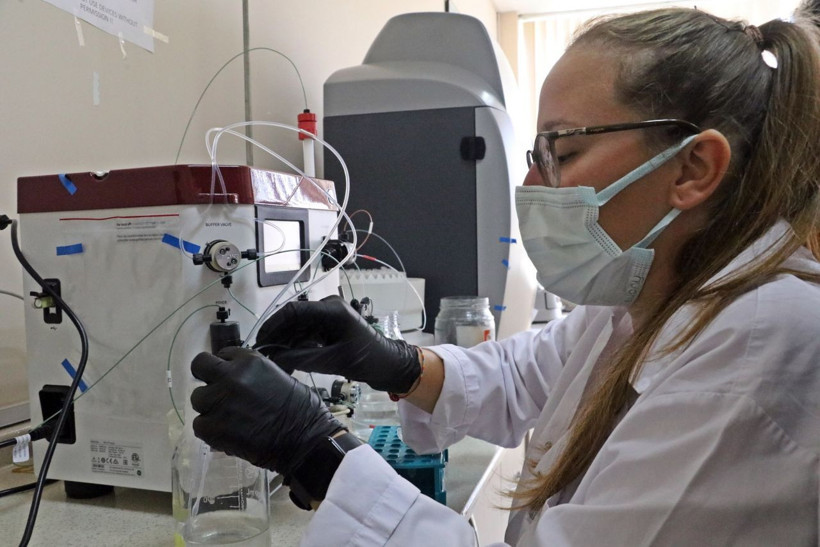 Covid-19'a karşı bitkiden üretildi! 'Kokteyl aşı’ insan deneyine hazır hale geldi - Resim: 1