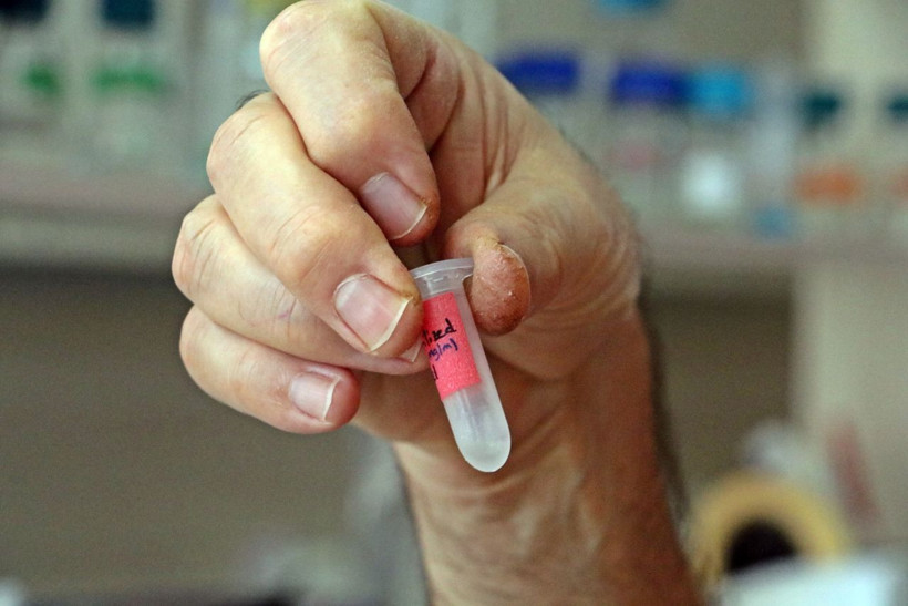 Covid-19'a karşı bitkiden üretildi! 'Kokteyl aşı’ insan deneyine hazır hale geldi - Resim: 2