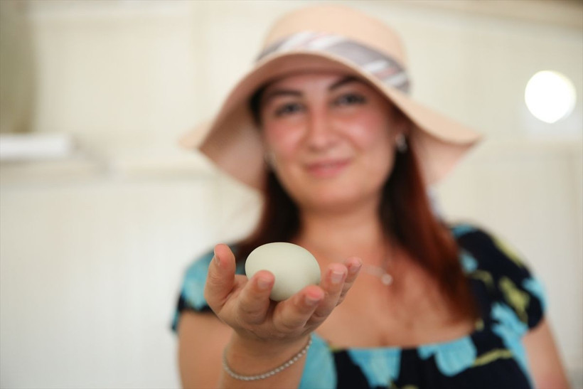 İlk başta kimseye satamadı! Şimdi paraya para demiyor: Antalya'da arkadaş önerisiyle başladı - Resim: 4