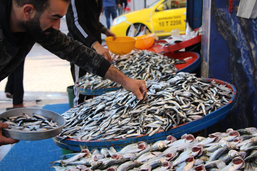 Lüferin kilosu 25 liraya kadar düştü! Nesli tükenmek üzere olan lüfer nasıl bollaştı müsilaj ile ilgisi ne? - Resim: 1