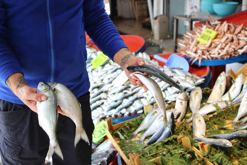 Lüferin kilosu 25 liraya kadar düştü! Nesli tükenmek üzere olan lüfer nasıl bollaştı müsilaj ile ilgisi ne? - Resim: 4